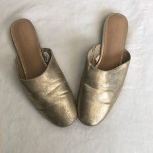 Universal Thread Mule Flats